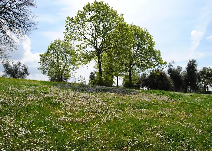 Alojamento de Turismo Rural Cornieto Monteleone dʼOrvieto
